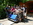 Ausflug 2013